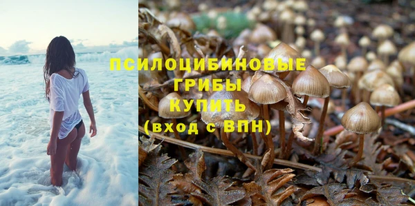 метадон Сатка